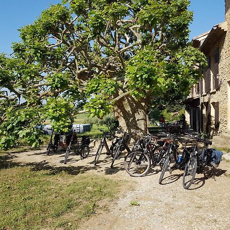 Villa Mas Dans La Campagne Pour Loisirs Et Teletravail Sarrians Exterior foto