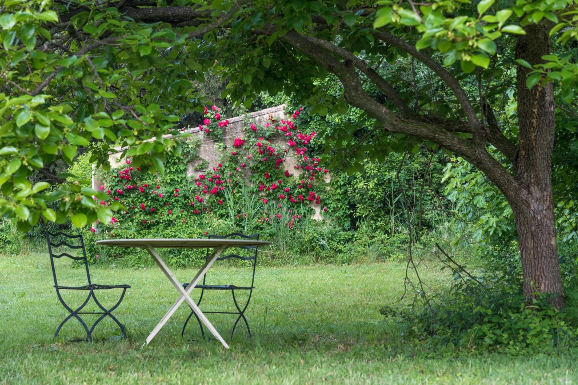 Villa Mas Dans La Campagne Pour Loisirs Et Teletravail Sarrians Exterior foto