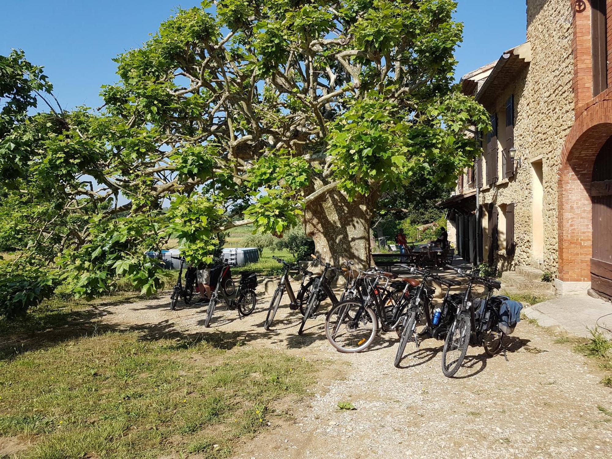 Villa Mas Dans La Campagne Pour Loisirs Et Teletravail Sarrians Exterior foto
